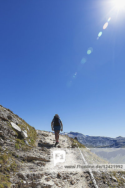 Austria  Salzburg State  Region Grossglockner  hiker on trail to Edelweissspitze  High Tauern National Park