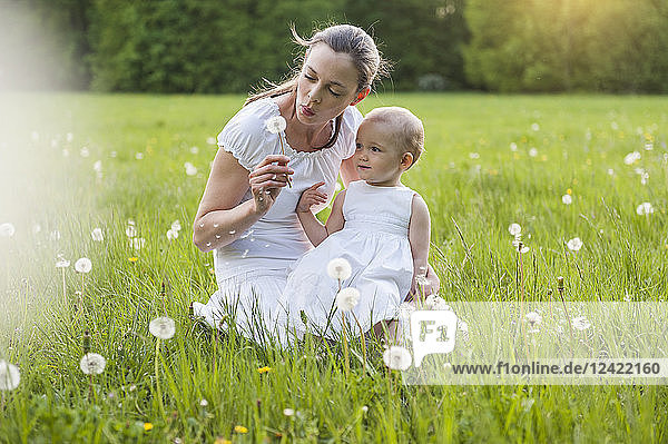 Mother and daughter with blowball on meadow in summer