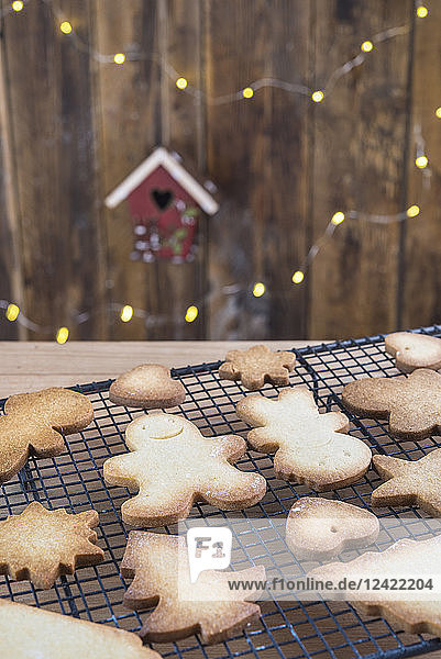 Various home-baked gingerbread cookies on cooling grid