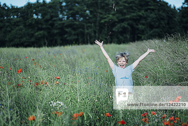 Portrait of happy boy in poppy field