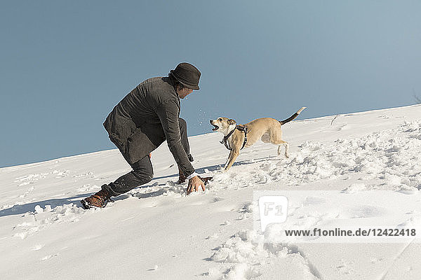 Man playing with dog in winter  throwing snow