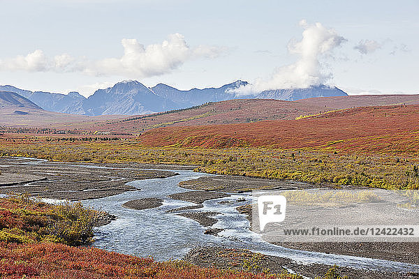 USA  Alaska  Denali National Park  Alaska Range in autumn