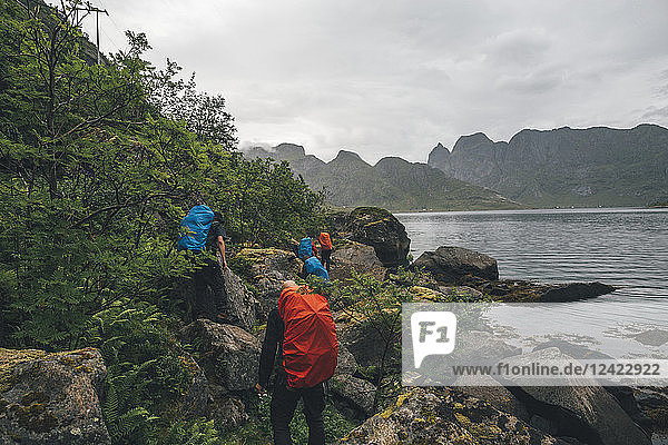 Norway  Lofoten  Moskenesoy  Group of hikers walking along Kjerkefjord
