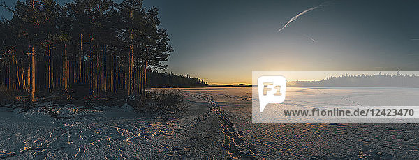 Sweden  Sodermanland  frozen lake Navsjon in winter at sunset