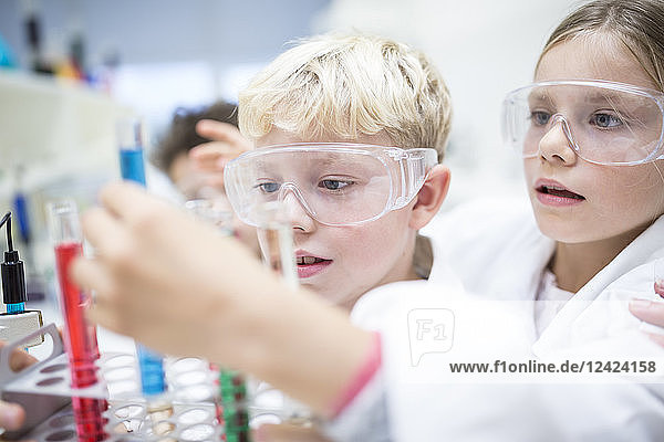 Pupils in science class experimenting with liquids in test tubes