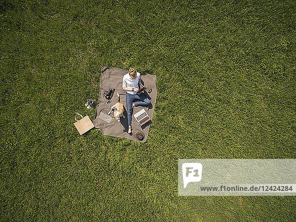 Bird's eye view of woman sitting on blanket on meadow with dog using tablet