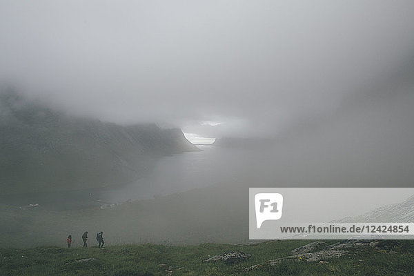 Norway  Lofoten  Moskenesoy  Three men hiking in the fog