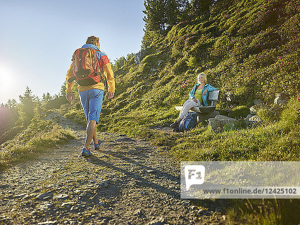 Austria  Tyrol  Couple hiking the Zirbenweg at the Patscherkofel  meeting at a bench