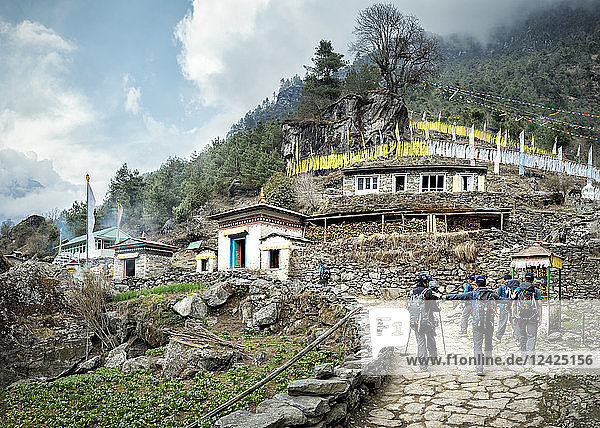 Nepal  Solo Khumbu  Everest  Sagamartha National Park  Group of people visiting National Park