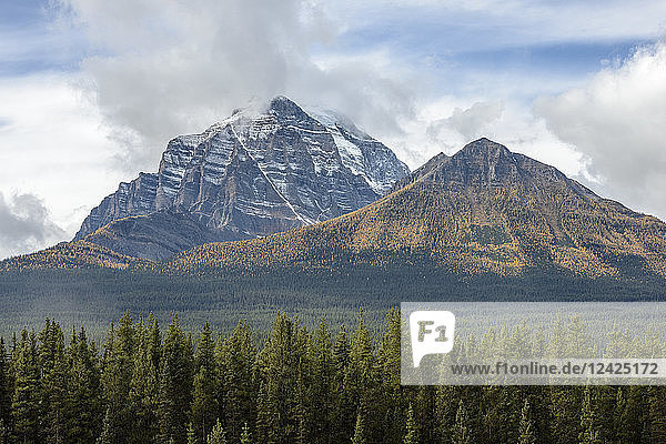 Kanada  Alberta  Banff  Wald und schneebedeckte Berge im Banff National Park