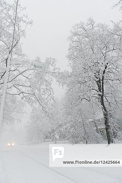 USA  New Jersey  Montclair  Landstraße im Winter