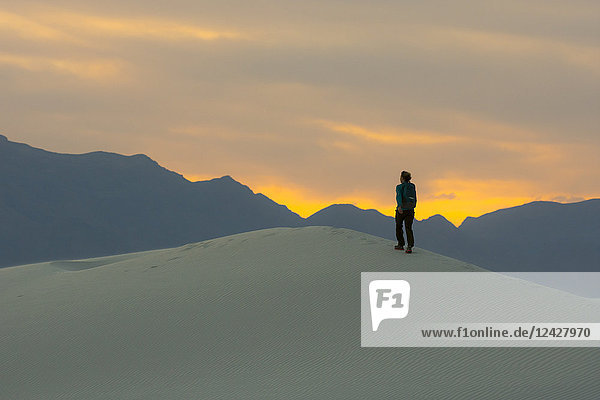 Rear view of female backpacker hiking in desert of White Sands National Monument at sunset  Alamogordo  New Mexico  USA