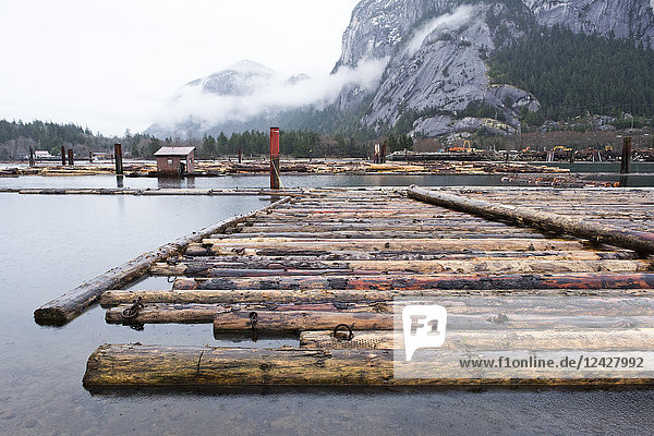 Blick auf viele auf dem Wasser treibende Baumstämme im Hafen von Squamish  British Columbia  Kanada