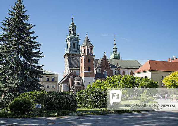 Krakau  Burghof Wawel  Polen
