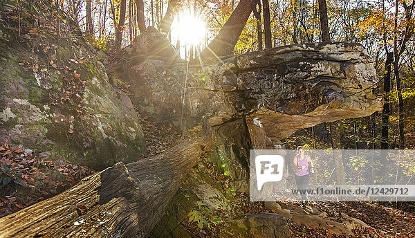 Entfernte Ansicht einer Frau  die im Wald läuft  Moss Rock Preserve  Alabama  USA