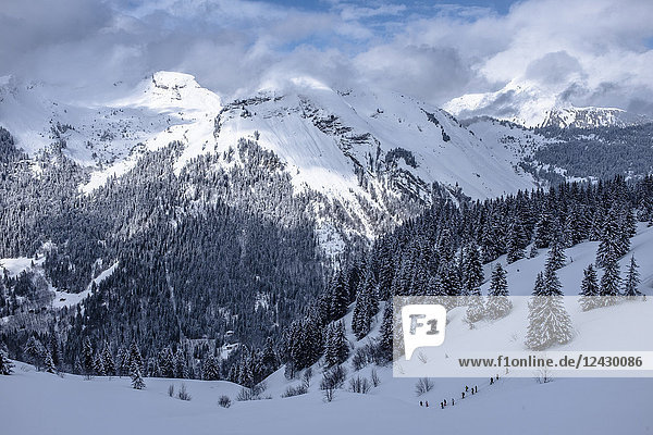 Majestic natural winter scenery with mountains covered in snow and forest  Morzine  Portes du Soleil  Haute-Savoie  France