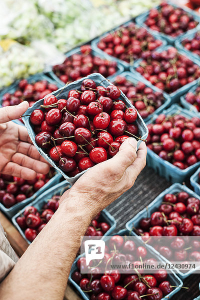 High angle close up of person holding punnet with fresh red cherries at a fruit and vegetable market.