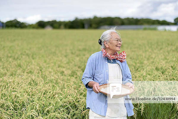 Lächelnde ältere Frau mit grauem Haar steht in einem Reisfeld und hält eine Schüssel mit frisch geernteten Reiskörnern in der Hand.