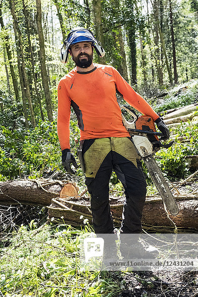 Mann mit leuchtend orangefarbener Spitze rodet einen Teil des Waldes. Fällt Baumstamm mit Kettensäge.