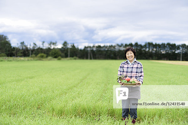 Frau mit schwarzen Haaren in kariertem Hemd steht in einem Feld  hält Korb mit frischem Gemüse und lächelt in die Kamera.