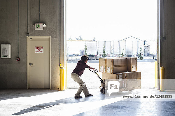 Eine Lagerarbeiterin  die in einem Vertriebslager Produkte in Kartons mit Hilfe eines manuellen Palettenwagens bewegt.
