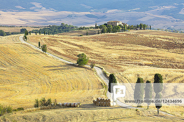 Zypressen und Felder in der Nachmittagssonne im Agriturismo Terrapille (Villa Gladiator) in der Nähe von Pienza in der Toskana  Italien  Europa
