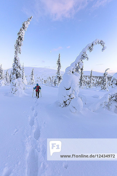Wanderer auf Schneeschuhen  Pallas-Yllastunturi-Nationalpark  Muonio  Lappland  Finnland  Europa