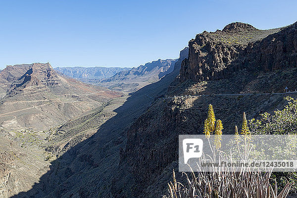 Barranco de Fataga canyon seen from Degollada de La Yegua viewpoint  Gran Canaria  Canary Islands  Spain  Europe