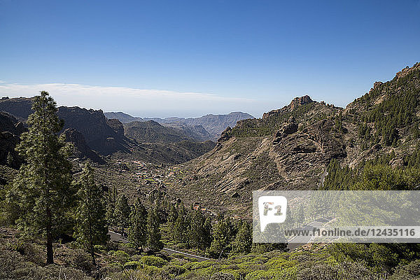 Talstraße bei Roque Nublo im Parque Rural Nublo im Zentrum von Gran Canaria  Kanarische Inseln  Spanien  Europa