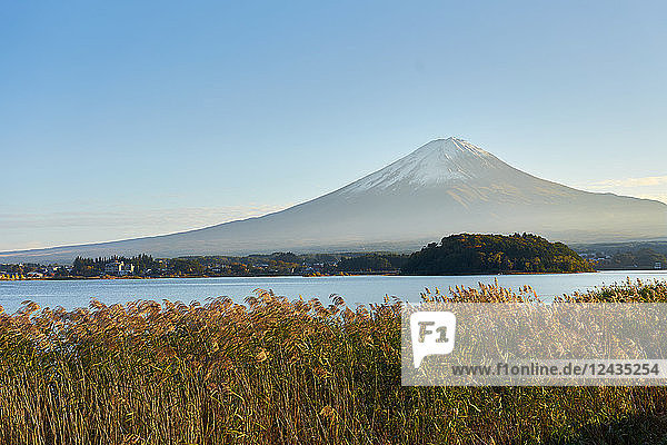 Mount Fuji  UNESCO World Heritage Site  and Lake Kawaguchiko with clear blue skies  Yamanashi Prefecture  Honshu  Japan  Asia