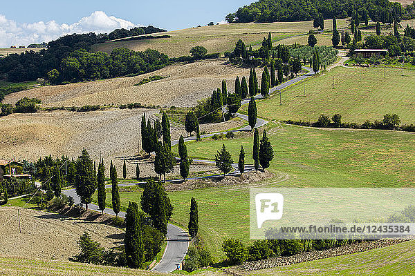 Kurvenreiche toskanische Straße  umgeben von Feldern und Zypressen  bei La Foce  Toskana  Italien  Europa