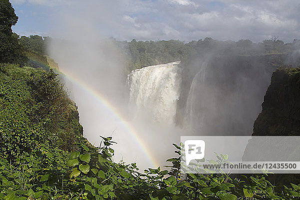 Ein Regenbogen in der Gischt des Victoria-Wasserfalls (Mosi-oa-Tunya)  UNESCO-Weltkulturerbe  an der Grenze zwischen Simbabwe und Sambia  Afrika