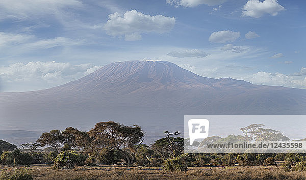 Der Kilimandscharo  UNESCO-Weltkulturerbe  vom Amboseli-Nationalpark aus gesehen  Kenia  Ostafrika  Afrika