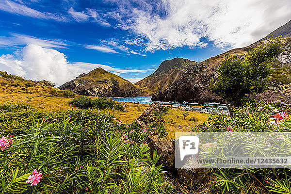 Landschaft auf Saba  einer Karibikinsel  der kleinsten Sondergemeinde der Niederlande  Karibik  Mittelamerika