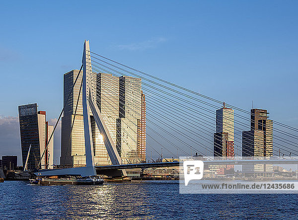Erasmus Bridge  Rotterdam  South Holland  The Netherlands  Europe