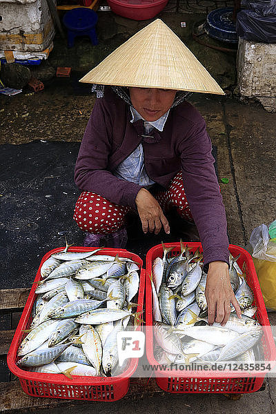 Woman selling fresh fish  Morning market in Duong Dong town  Phu Quoc  Vietnam  Indochina  Southeast Asia  Asia