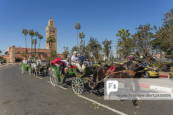 Pferde und Kutschen und Minarett der Koutoubia-Moschee aus dem 12. Jahrhundert in der Morgendämmerung  UNESCO-Weltkulturerbe  Marrakesch  Marokko  Nordafrika  Afrika