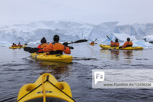 Expeditionstouristen beim Kajakfahren bei kaltem  verschneitem Wetter  mit Eisbergen  chilenische Gonzalez Videla Station  Waterboat Point  Antarktis  Polarregionen