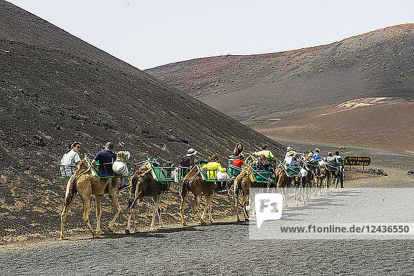 Tourist camel riding in the lava sands of Timanfaya National Park  Lanzarote  Canary Islands  Spain  Atlantic  Europe