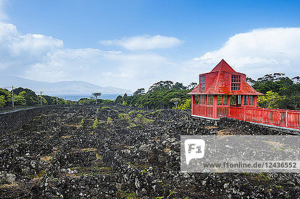 Red walkway in the vineyards in the Wine museum of Pico  UNESCO World Heritage Site  Island of Pico  Azores  Portugal  Atlantic  Europe
