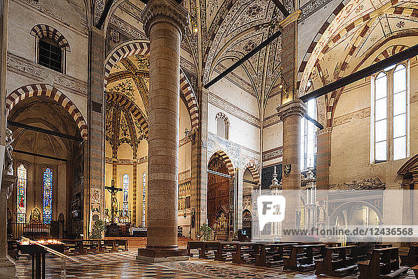 Interior of Basilica of Santa Anastasia  Verona  Veneto Province  Italy  Europe