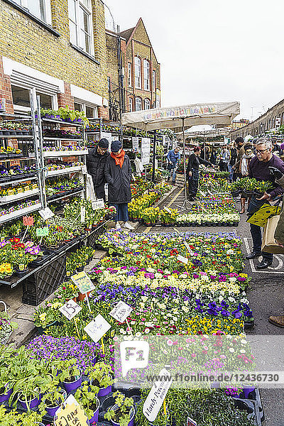 Columbia Road Flower Market  ein sehr beliebter Sonntagsmarkt zwischen Hoxton und Bethnal Green in East London  London  England  Vereinigtes Königreich  Europa