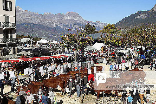 The agricultural fair (Comice Agricole) of Saint-Gervais-les-Bains  Haute-Savoie  France  Europe