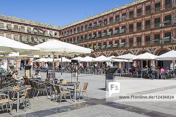 Cafes and restaurants in the Plaza de la Corredera  Cordoba  Andalucia  Spain  Europe