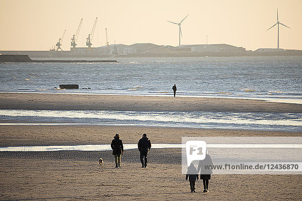 Spaziergänger am Strand bei Sonnenuntergang mit den Docks von Boulogne-sur-Mer im Hintergrund  Wimereux  Pas-de-Calais  Region Hauts-de-France  Frankreich  Europa