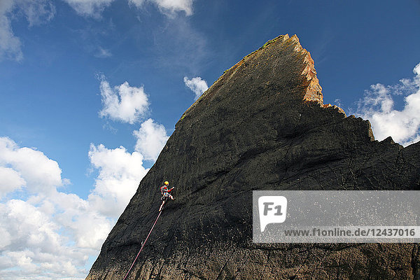 Felskletterer in Aktion  Culm Coast  Nord-Devon  England  Vereinigtes Königreich  Europa