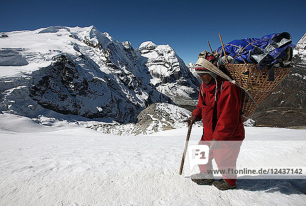 Träger mit einer Last auf dem Mera Peak  Solukhumbu  Nepal  Asien