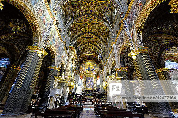 Kathedrale von Cremona  geweiht der Himmelfahrt der Heiligen Jungfrau Maria  Cremona  Lombardei  Italien  Europa