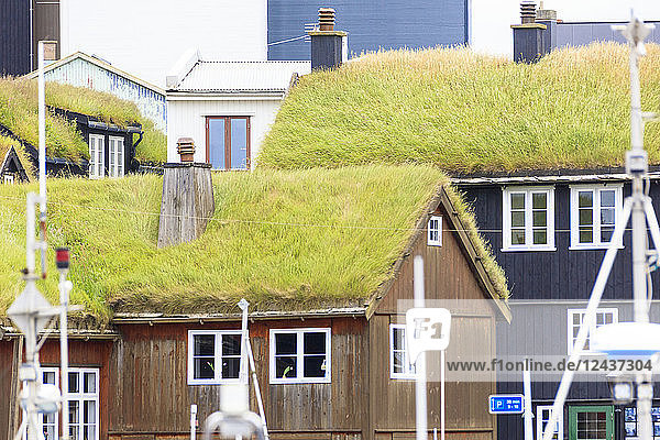 Traditionelle Häuser mit Grasdach am Hafen  Torshavn  Streymoy Island  Färöer Inseln  Dänemark  Europa