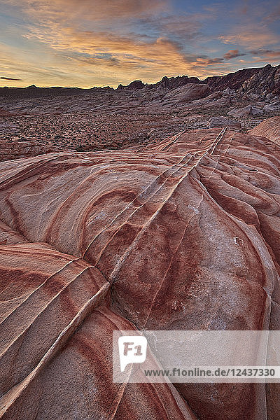 Sandsteinformen in der Morgendämmerung  Valley of Fire State Park  Nevada  Vereinigte Staaten von Amerika  Nordamerika